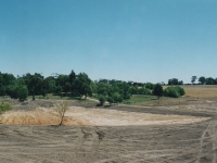pon_cottage_006